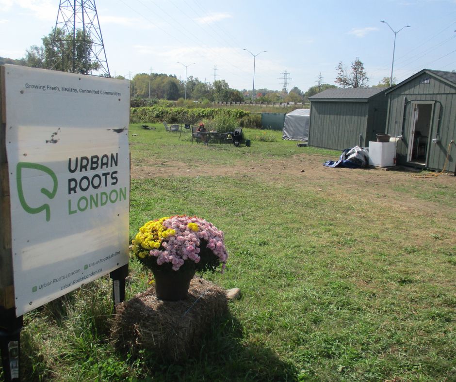 Urban Roots London sign at front of farm entrance